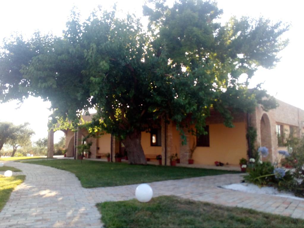 Agriturismo Piccolo Albero Лорето-Апрутино Экстерьер фото